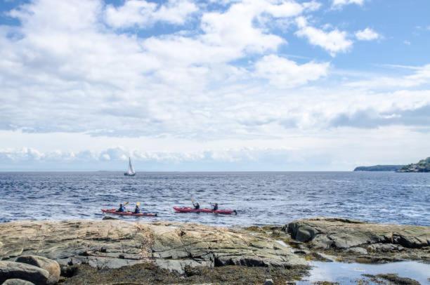 Motel De L'Anse A L'Eau Tadoussac Eksteriør billede